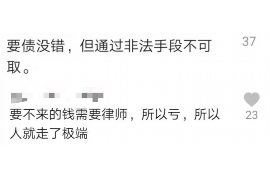 鸿雁要账版：企业应收账款管理的智慧之选